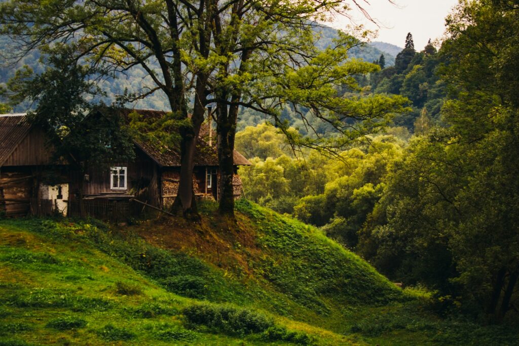 When you're looking to buy or refinance a home, one of the most important questions you should ask is: “Is this property in a flood zone?” That’s where a Flood Search Report comes in. Many buyers don’t think about flood risks until it’s too late—until their home floods or their insurance costs skyrocket. In this blog, we’ll walk you through: What a Flood Search Report is Why it’s crucial for property buyers and owners What the report includes And how to order your Flood Search Report from vcaretitle.com in just a few clicks What Is a Flood Search Report? A Flood Search Report is a document that shows whether a property is located in a flood-prone area. It uses data from FEMA (Federal Emergency Management Agency) and other local authorities to determine the level of flood risk tied to your exact address. It answers questions like: Is this home in a Special Flood Hazard Area (SFHA)? Has this area experienced flooding in the past? Is flood insurance required by law? What is the flood zone classification? This report helps you make informed decisions—and avoid unpleasant surprises. Why Is a Flood Search Report Important? 1. Flooding Is More Common Than You Think Floods are the most common and costly natural disaster in the United States. And flooding isn’t limited to coastal areas—heavy rain, melting snow, and poor drainage can cause damage anywhere. 2. It Affects Insurance Costs If the property is in a high-risk flood zone, most lenders will require you to carry flood insurance, which can be expensive. A Flood Search Report gives you a heads-up so you’re not caught off guard. 3. It Impacts Property Value Homes in high-risk flood areas may be harder to sell or may sell for less. Knowing the flood status early helps you decide if it’s the right investment. 4. It’s Often Required by Lenders Most mortgage lenders require a flood determination before closing. Having this report ready speeds up the loan process. Who Should Order a Flood Search Report? This report is helpful for: Homebuyers who want to check risk before purchasing Property investors evaluating land or houses Real estate agents helping clients with full due diligence Mortgage lenders during the loan process Homeowners who are unsure of their flood risk Insurance agents evaluating coverage needs Whether you’re buying a home or already own one, knowing your flood risk is just as important as checking for plumbing or roof issues. What’s Included in a Flood Search Report? At vcaretitle.com, our Flood Search Reports provide clear and reliable information, including: FEMA flood zone classification (e.g., Zone X, AE, VE) Whether the property is in a Special Flood Hazard Area (SFHA) Base Flood Elevation (BFE), if available Flood insurance requirements based on lender guidelines Map showing the property location and flood zones A simple summary of what it all means for you We turn technical flood data into plain English, so you don’t have to interpret complicated maps or charts on your own. How to Order a Flood Search Report from vcaretitle.com No need to visit government offices or search FEMA databases yourself. Ordering is fast and easy: Go to vcaretitle.com Choose “Flood Search Report” from the list of services Enter the property address Submit your request Receive your report by email, usually within 1–2 business days We handle the research, the paperwork, and the formatting—so you get accurate, up-to-date results in a simple format. Why Choose vcaretitle.com? We know real estate documents can be confusing. That’s why we make it easy and stress-free. With vcaretitle.com, you get: Fast and accurate reports Clear explanations, not technical jargon Professional support if you need help All your reports (flood, fire, air quality, occupancy, and more) in one place Whether you're buying your dream home or reviewing your current property, our goal is to help you feel informed and protected. Final Thoughts Flooding can cause major damage and financial stress—but it’s avoidable with the right information. A Flood Search Report shows you the risk level before you buy, build, refinance, or insure a property. Don’t leave it to chance. Know before you buy. Order your Flood Search Report now at vcaretitle.com and take control of your property decisions with confidence.